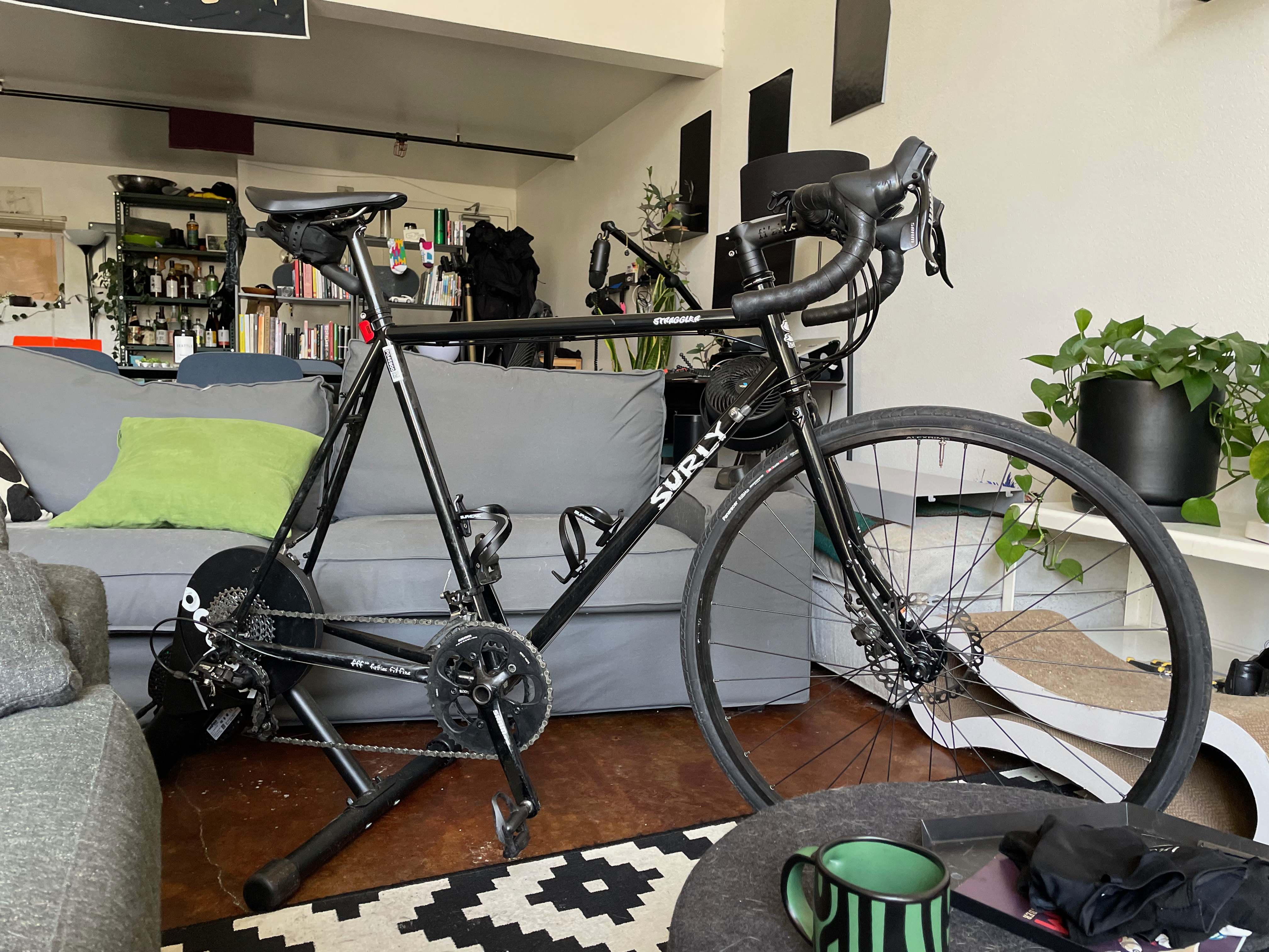 surly indoor